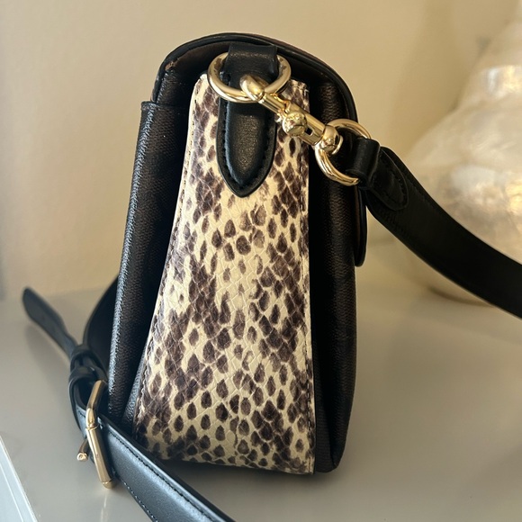 Coach Grace - Picture 4 of 11